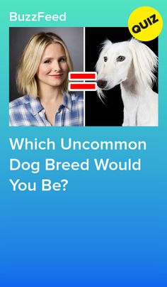 a woman and a dog with the words which uncommon dog breed would you be?