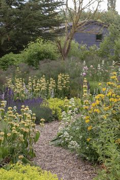 a garden filled with lots of different types of flowers