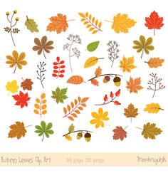 the autumn leaves clip art is shown here