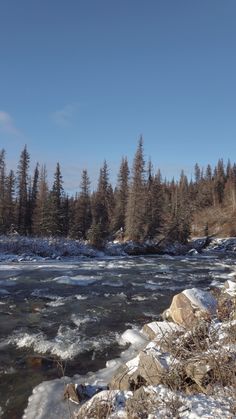 a river running through a forest filled with snow covered ground next to tall pine trees