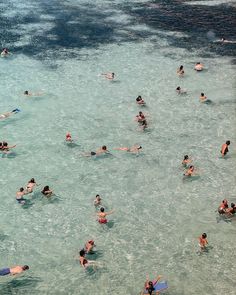 many people are swimming in the clear blue water and one person is holding a surfboard