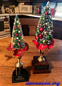 two small christmas trees sitting on top of a wooden table next to eachother