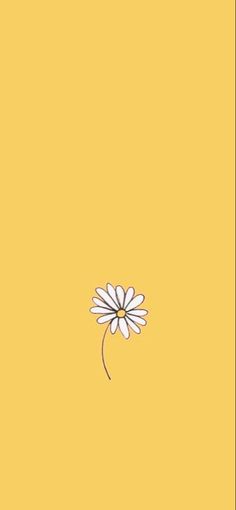 a white flower on a yellow background