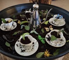 a tray with tea cups and plants in dirt on the ground next to a watering can