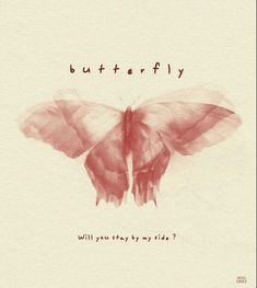 a drawing of a butterfly with the words butterflies written on it's back side