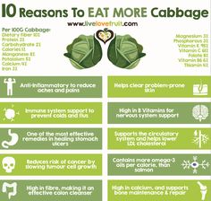 Cabbage Health Benefits, Cabbage Benefits, Tomato Nutrition, Coconut Benefits, Food Health Benefits, Stomach Ulcers, Cold Prevention, Cabbages, Ldl Cholesterol