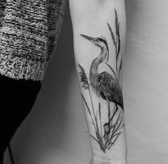 a black and white photo of a bird with reeds on it's arm