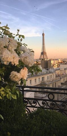 the eiffel tower towering over paris is seen in this view from an apartment balcony