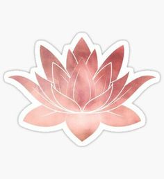 a pink waterlily flower sticker on a white background in the shape of a lotus