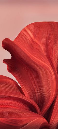 an abstract photograph of red fabric blowing in the wind