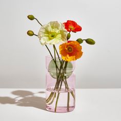 three different colored flowers in a clear vase on a white surface with shadow from the wall behind them