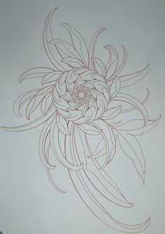 a drawing of a large flower on a white paper with red lines in the center