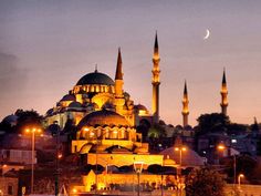 the blue mosque is lit up at night