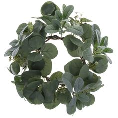 a wreath with green leaves and buds on a white background