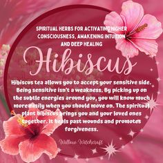 a pink flower with the words hirsus on it and an image of two flowers