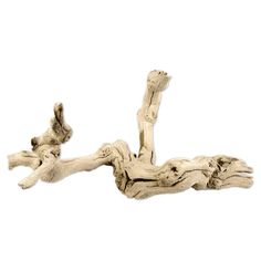 two driftwood pieces on white background with clippings to the left and right