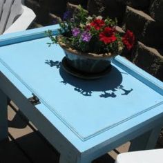 a potted plant sitting on top of a blue table next to a white chair