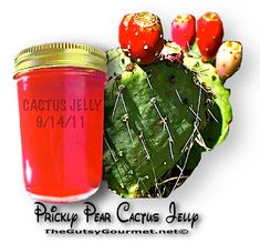 cactus jelly in a jar with prick pear cacti next to it