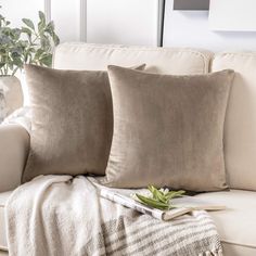 two pillows sitting on top of a couch next to a potted plant