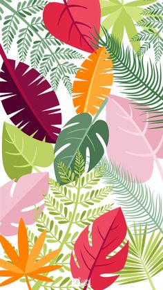 colorful tropical leaves and ferns on a white background with pink, red, green, orange, yellow and purple colors