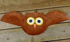 an owl paper plate craft is hanging on the side of a wooden wall with eyes