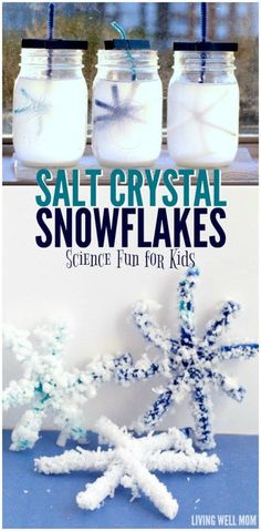 salt crystal snowflakes science fun for kids