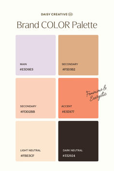 the brand color palette for daily creative