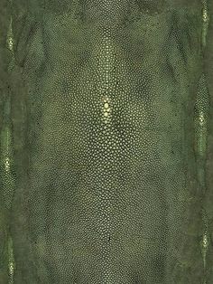 PRECIEUX - VERT - SCALAMANDRE WALLPAPER - WH000043326 at Designer Wallcoverings and Fabrics Scalamandre Wallpaper, Isabella Stewart Gardner Museum, Isabella Stewart Gardner, Metropolitan Opera House, Gardner Museum, William Randolph Hearst, Mt Vernon, Morgan Library, Metropolitan Opera