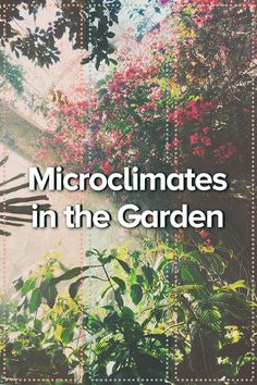 the cover of microclimiates in the garden, with trees and flowers behind it