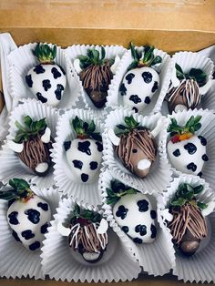 chocolate covered strawberries are arranged in the shape of cow's heads and strawberrys