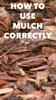 the words how to use mulch correctly are in front of a pile of wood chips