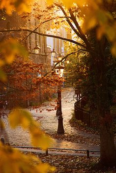 the words hello october are displayed in front of an autumn scene