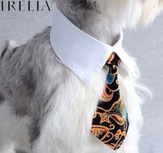 a small dog wearing a tie with beads on it's collar and necktie