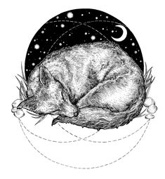 a drawing of a sleeping fox in the night sky