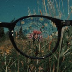 a pair of glasses sitting on top of a field filled with tall grass and flowers