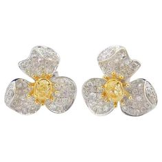 18K White Gold Yellow Diamond Flower Earrings 18K White Gold - 4.33 GM Yellow Diamonds - 0.30 CT White Diamonds - 0.56 CT Nurati Jewelry's classic diamond earrings captivate with their exquisite snowflake design. Expertly crafted with meticulously cut diamonds, these earrings exude a dazzling brilliance that elevates any look. Adorning the ears with an icy elegance, they offer a supreme aesthetic experience, transforming the wearer into a vision of refined sophistication. These earrings are the Supreme Aesthetic, Classic Diamond Earrings, Diamond Flower Earrings, White Gold Diamond Earrings, Yellow Diamonds, Snowflake Design, 18k Gold Jewelry, Gold Diamond Earrings, Green Diamond