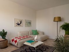 a living room filled with furniture and a potted plant