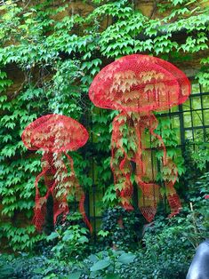 some very pretty red decorations in front of a building with ivy growing on the walls