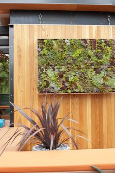 a wooden bench sitting next to a planter on top of a wooden wall covered in green plants