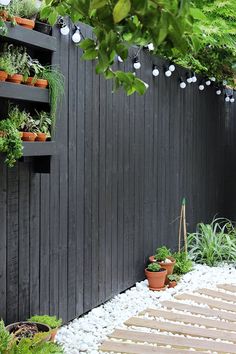 a wooden fence with plants growing on it