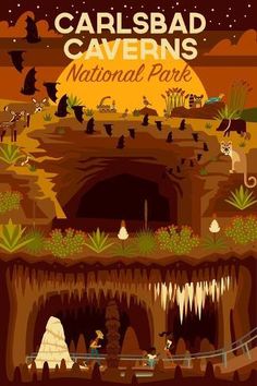 the poster for carlsbad caverns national park