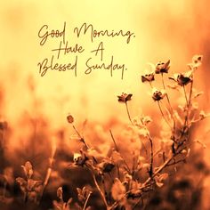 the words good morning have a blessed sunday are written in cursive writing on an orange and yellow background