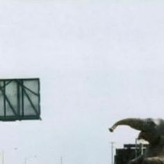 an elephant standing in front of a building with a sign above it's head