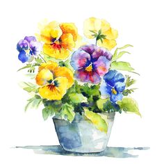 watercolor painting of pansies in a pot