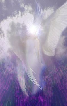 a white bird flying through the air with clouds in the sky behind it and sun shining down on its wings