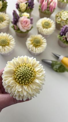 a person holding a flower in front of some cupcakes with flowers on them