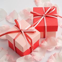 two red and pink gift boxes with bows on them, surrounded by rose petal petals