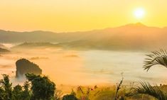 the sun is setting over some mountains with mist in the foreground and trees on the other side