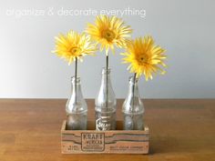 three glass bottles with yellow flowers in them