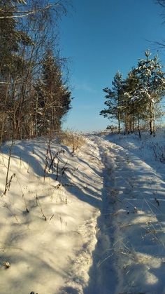 the path in the snow is lined with trees and bushes, as well as footprints on the ground